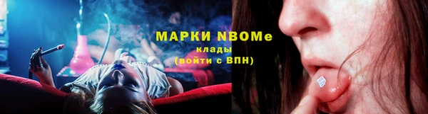 крисы Михайловск