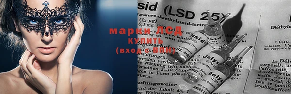 крисы Михайловск
