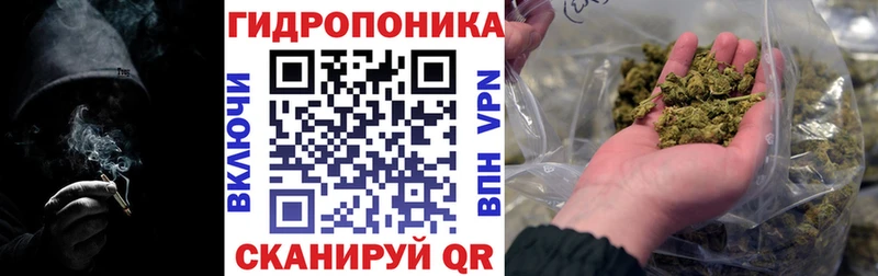 Шишки марихуана MAZAR  Купить где  Чайковский 